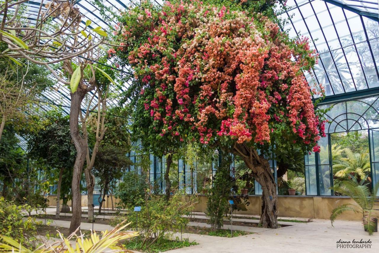 Nel cuore della Kalsa Ideale per Remote Working Palermo Esterno foto