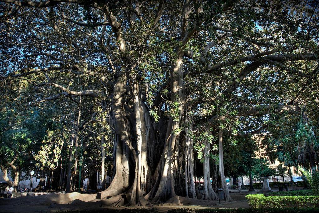 Nel cuore della Kalsa Ideale per Remote Working Palermo Esterno foto